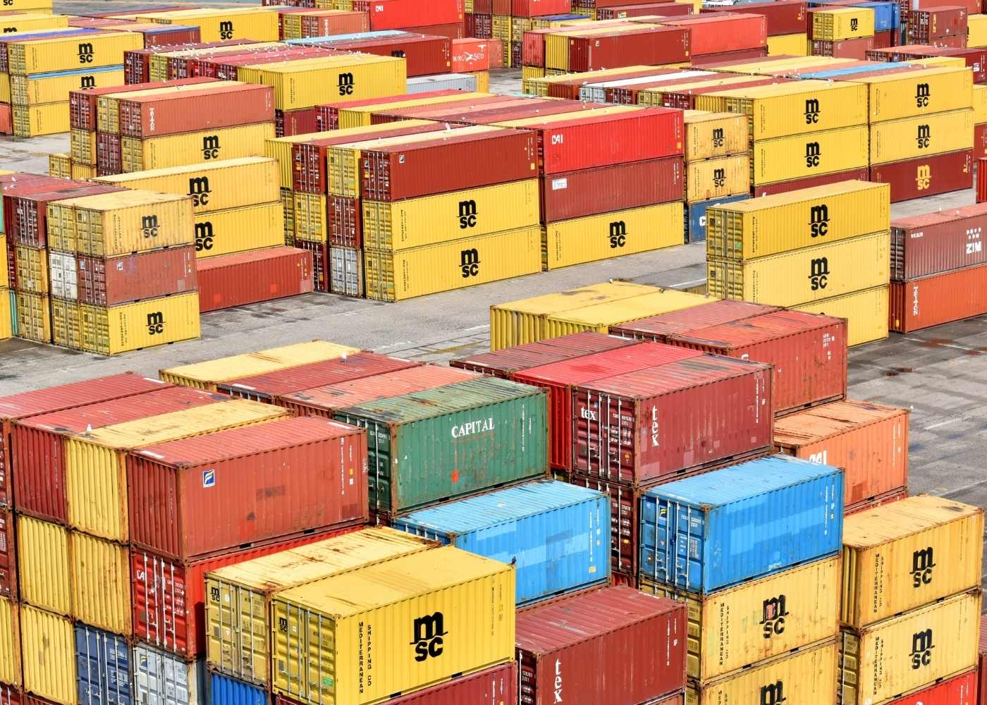 Container cargo inspection and customs operations
