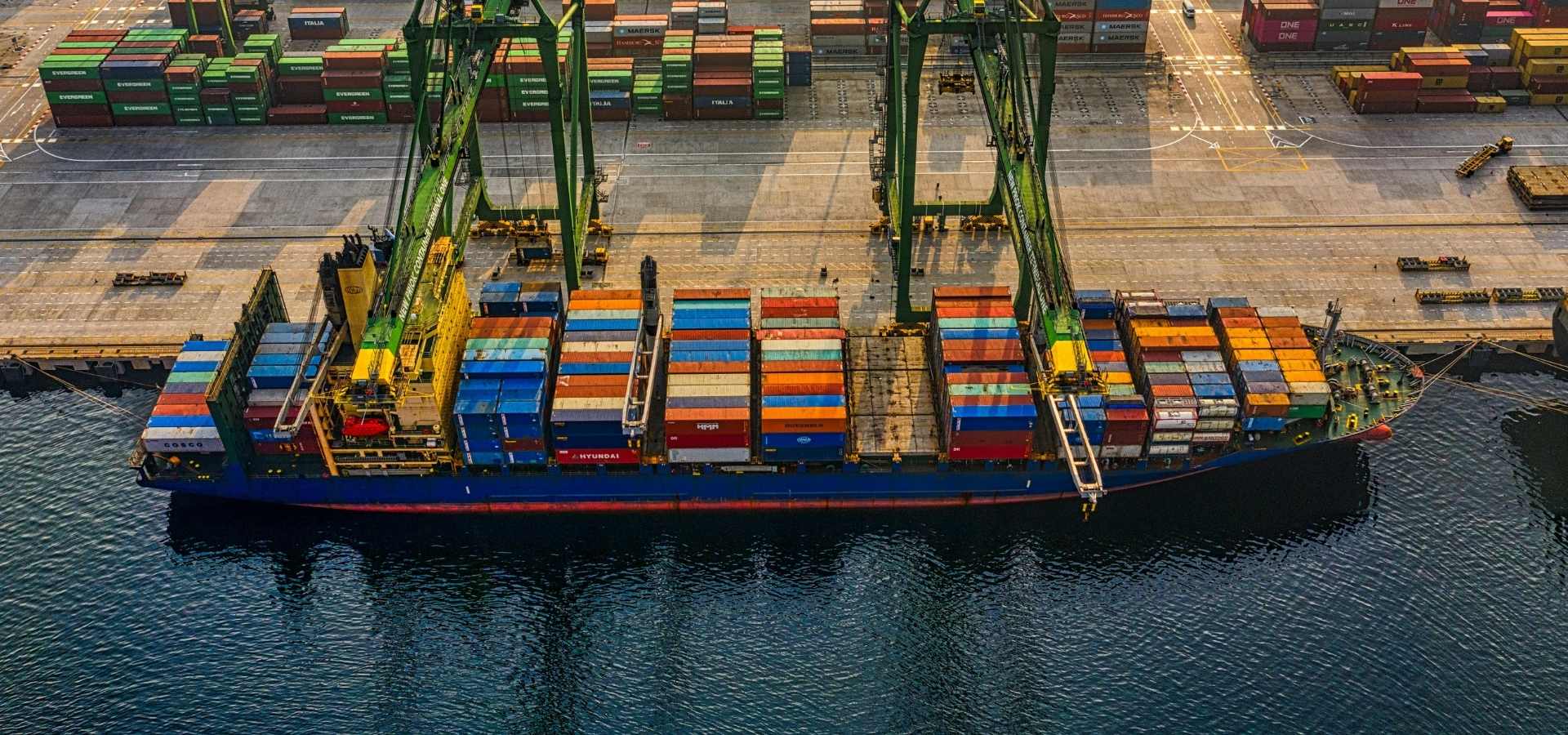 Global shipment and logistics network